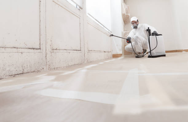 24/7 Emergency Mold Remediation experts in Sparta, GA